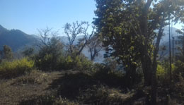 Shiva gauri ashram in beginning.