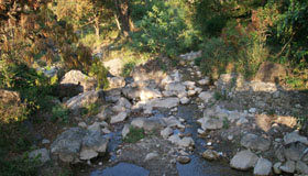 Neelkanth jungle near rishikesh.