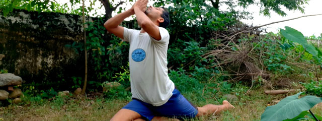 Yoga aasan, surya namaskar.