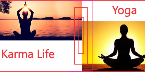  karma yoga and bhakti yoga